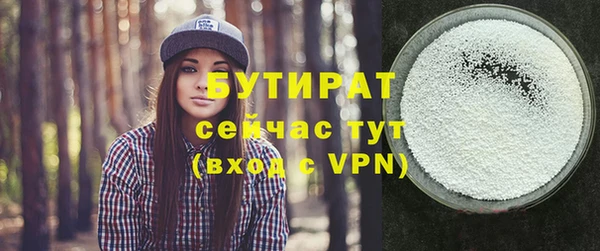 spice Дмитриев