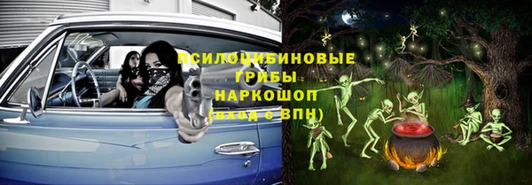 spice Алексеевка