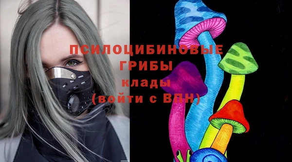 spice Алексеевка