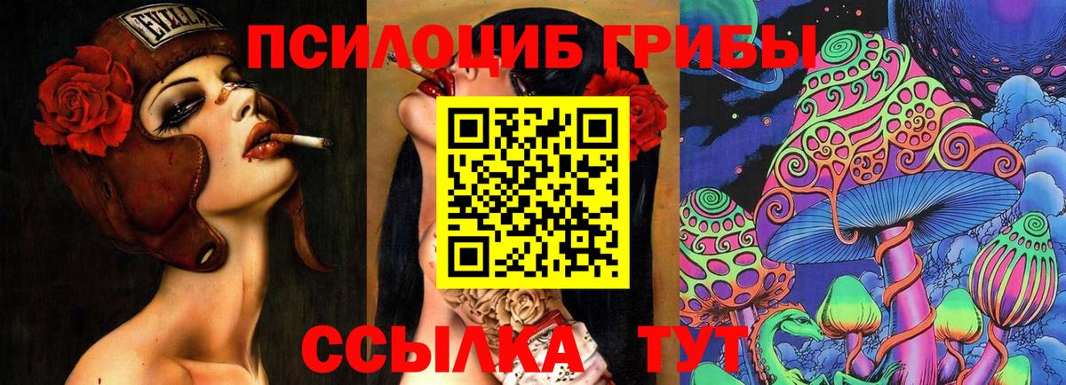 где купить наркоту  Галлюциногенные грибы Psilocybine cubensis  Вход с VPN  Галлюциногенные грибы Psilocybe  Шебекино 